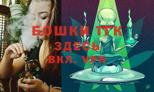сатива Балахна
