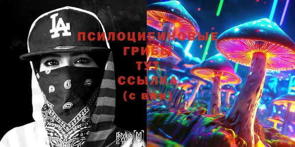гашик Балабаново