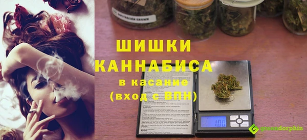 сатива Балахна