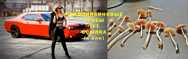 гашик Балабаново